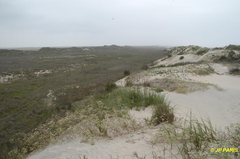 South Padre Island